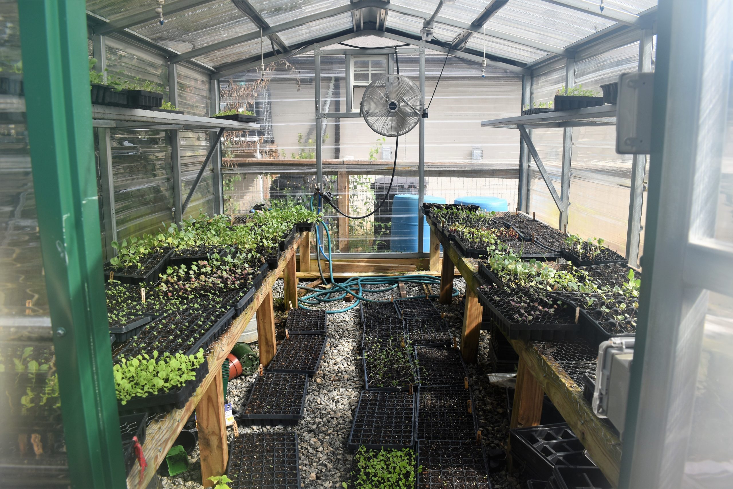 Mercy Med Farm – The LocaL Magazine